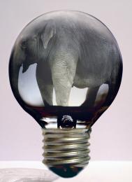 Incandescent Elephant